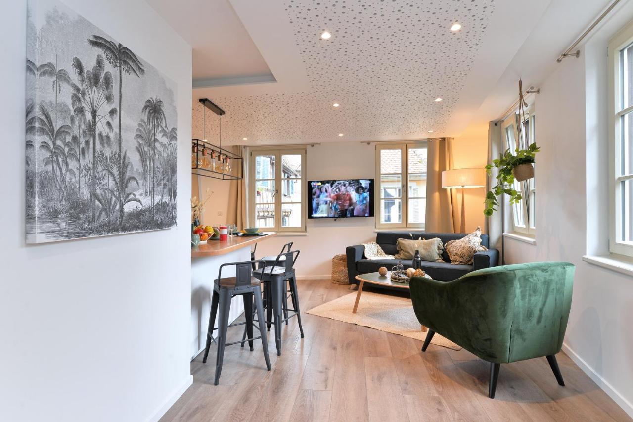 Suite Le Splendide Du Centre Historique Avec Climatisation Colmar Exterior foto